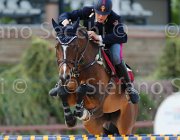 COATA L QUITE ItaAss2013- S5 1378 : COATA LUCA, Campionati Italiani 2013, Cattolica, Horse Riviera Resort, QUITE BEAUTY, foto di Stefano Secchi ©